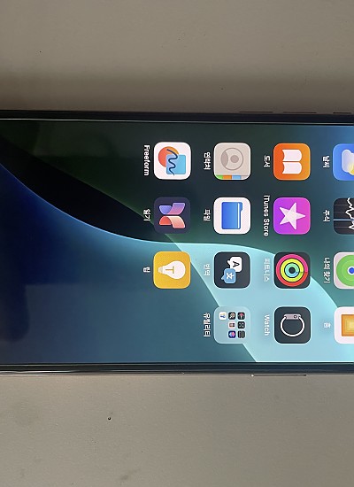 아이폰XS Max 512G