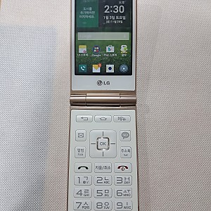 LG-F480L와인스마트